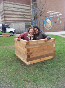 Look at what sprouted from the new school garden! :) Oh, it's me and Gurpreet!