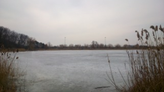 Frozen Grenadier Pond